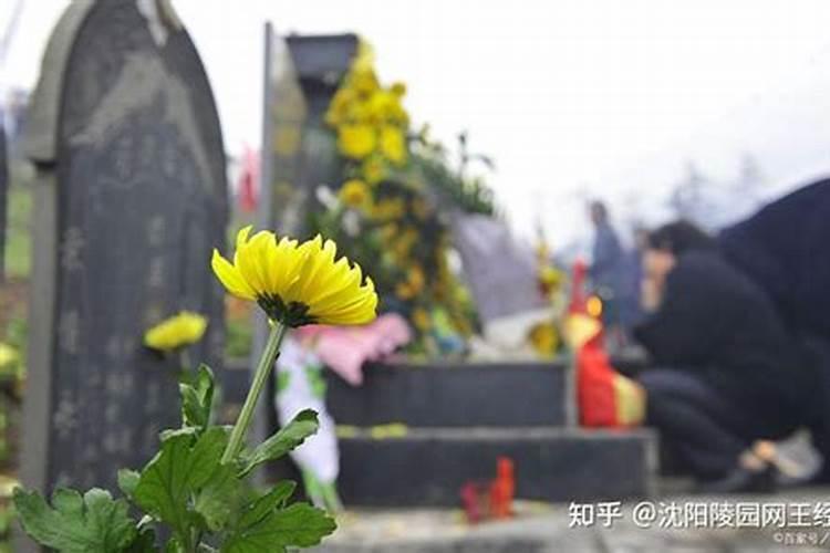 家里一直不顺利,不是妹妹生病,就是哥哥生病,做什么事都不顺利,问神说...