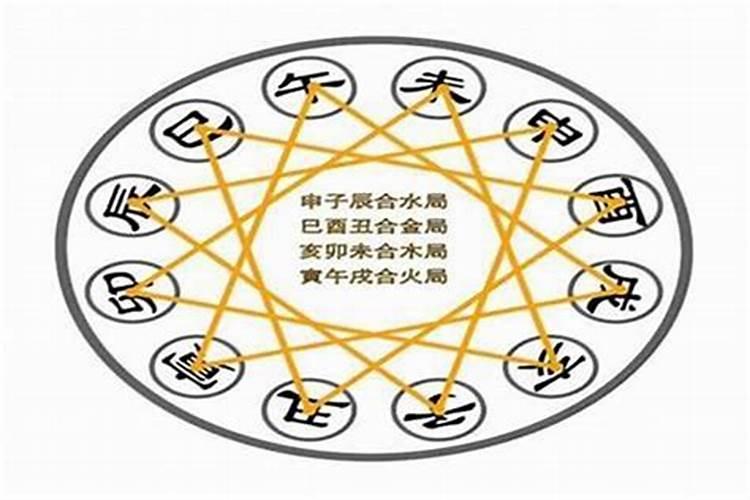 食神代表什么意思？