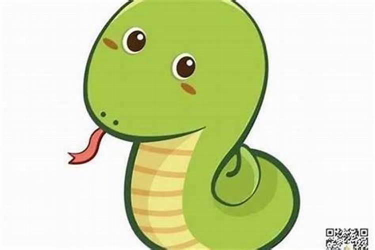 属蛇冲太岁佩戴什么