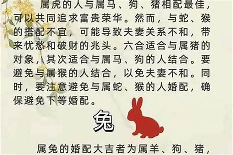 属相鼠女和虎男婚配好吗 小吉婚配感情良好？
