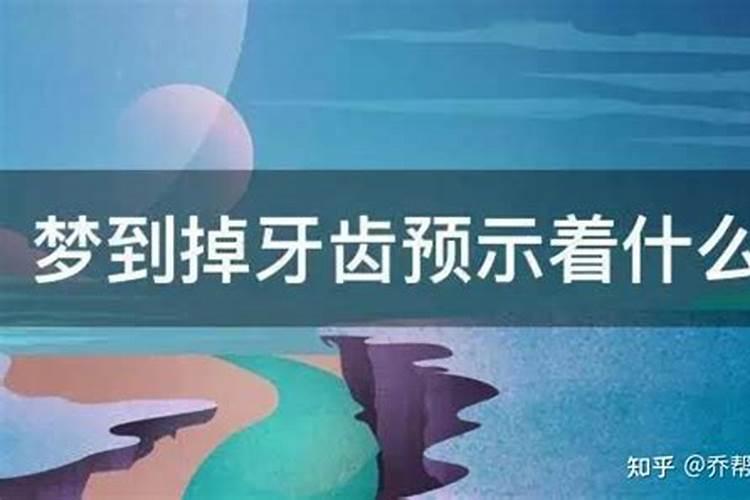 属马人狗年猪年运势如何