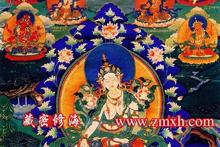 修度母法门的禁忌