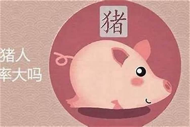 属兔怎样增加偏财运？