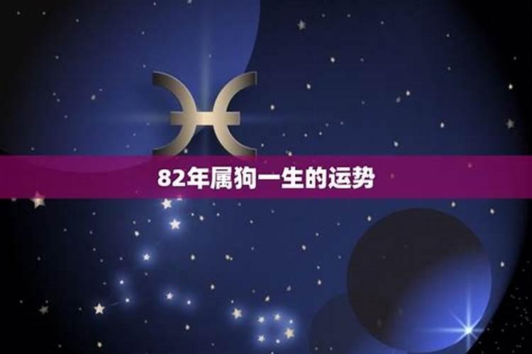 1982年属狗人2024年每月运势及运程