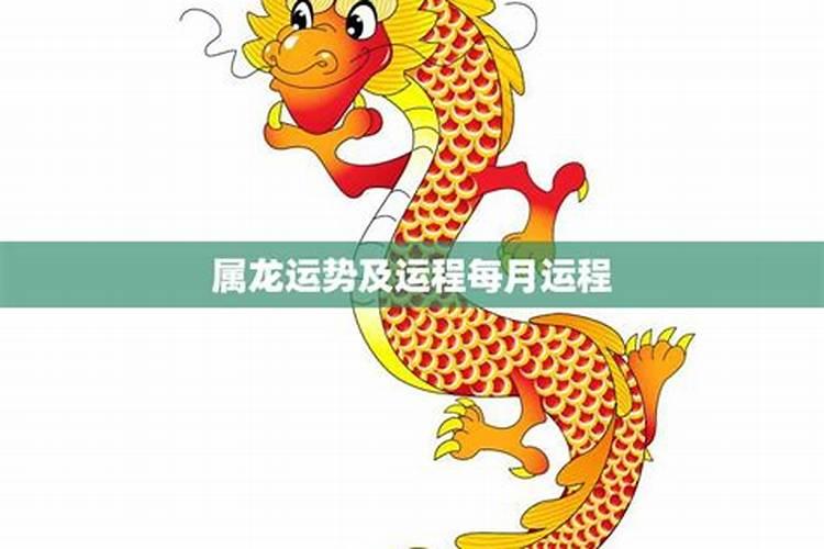 生肖龙2025年运势 属龙人2025年每月运势