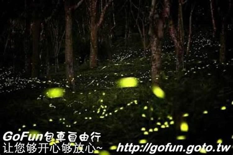 “八字相同命运不同”地理调候也是因素,地利影响命运高低