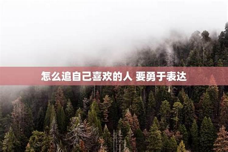 防小人应种什么植物