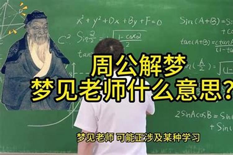 属猪和属鸡的合不合 两者相合