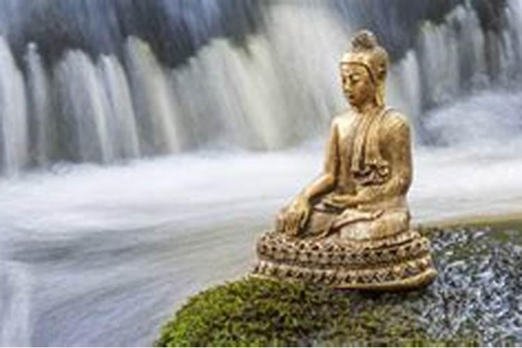 79年属羊的一生三大劫难79年生肖羊后福之人？