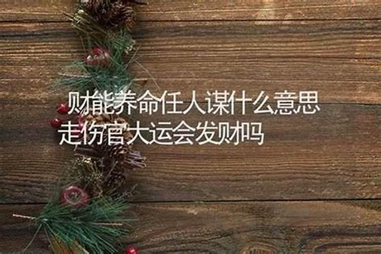 伤官大运是什么意思