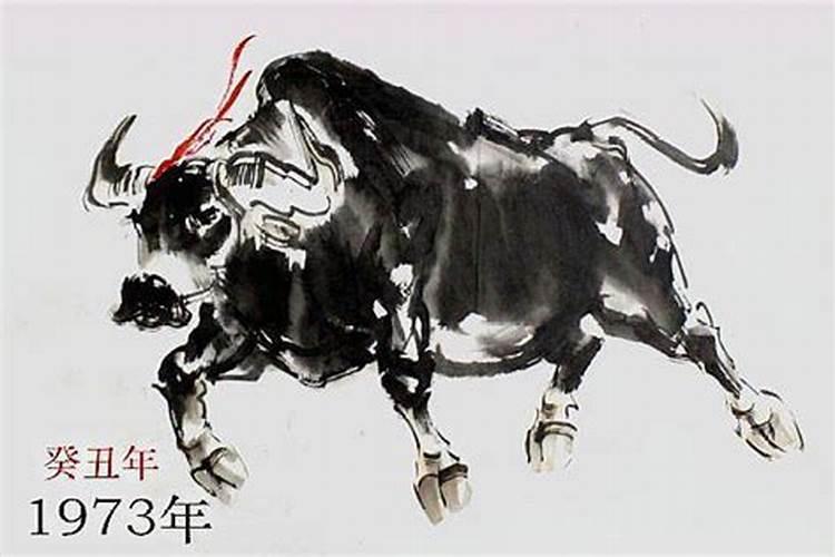 73年属牛2025全年运势如何