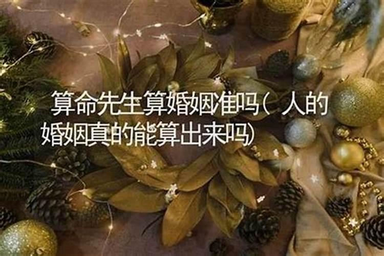 属马的2024年多大