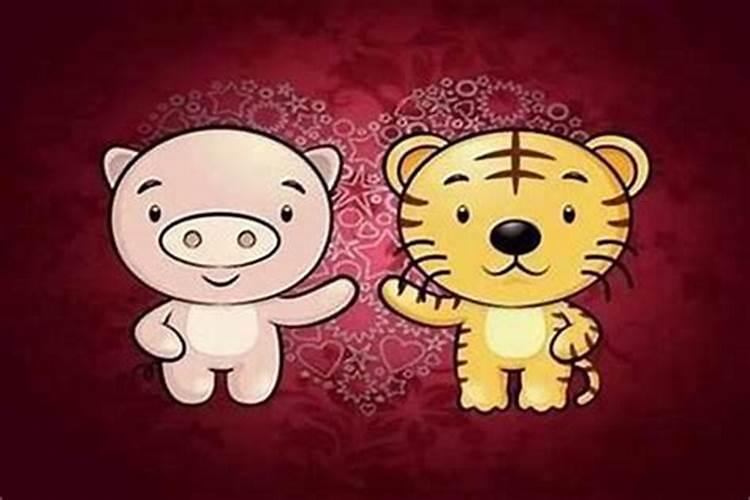 猪和虎相配吗 六合生肖是大吉