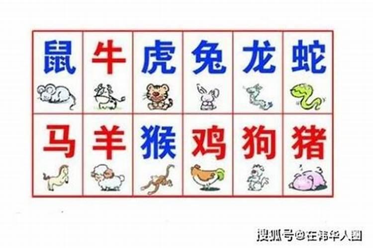 属虎和属猪的适合做夫妻吗
