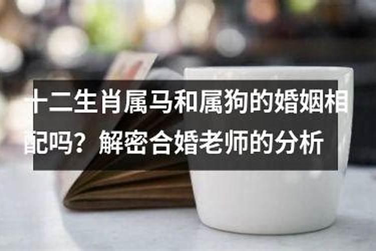 1990年的马2025年运势怎么样
