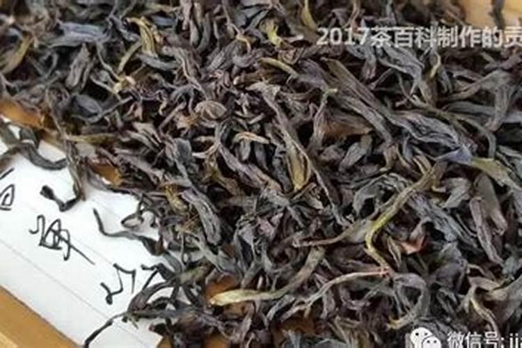 十二什么生肖最旺财