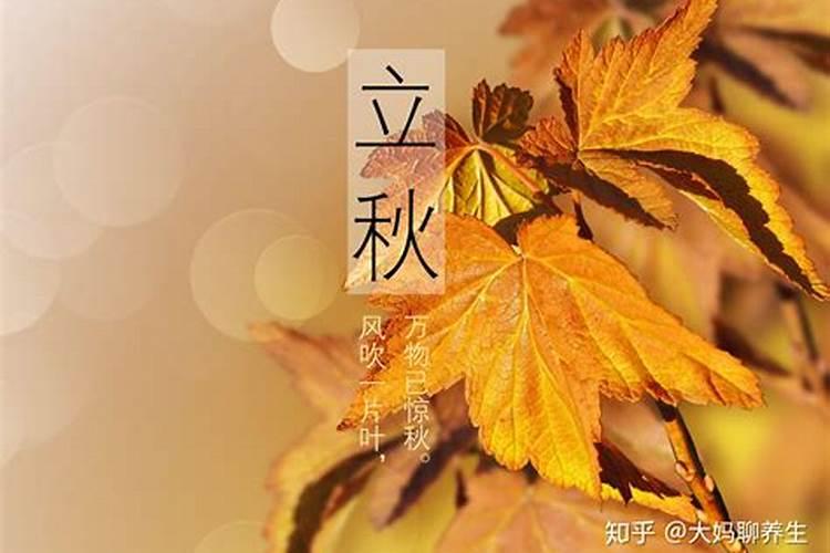 2024年立秋时间是几时几分有什么特点