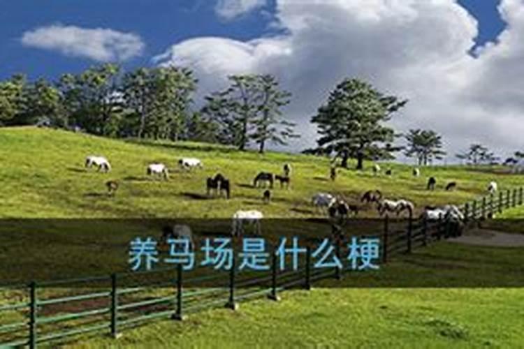 女人梦到好多马是什么意思