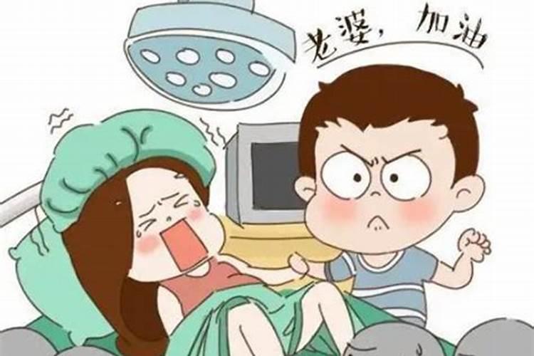 梦见生了个大胖儿子会走路