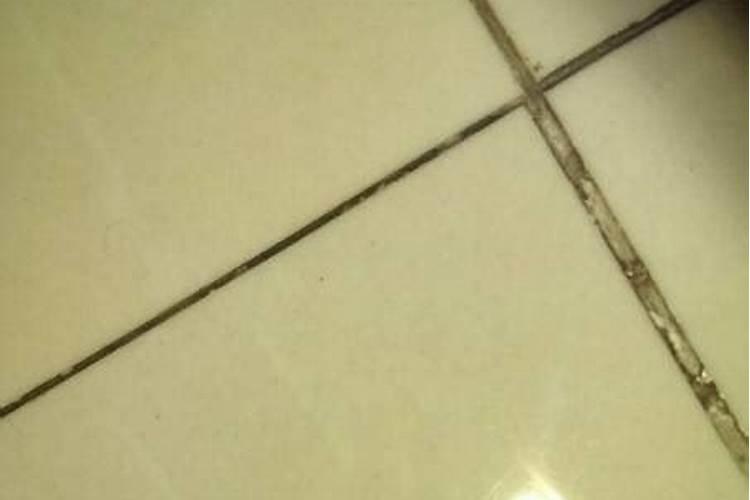 梦见厕所里的白虫