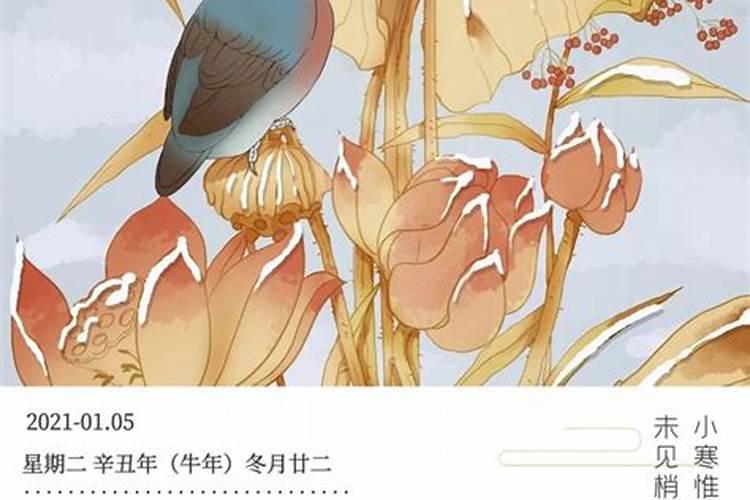 一九七三年农历十一月十五女子的运势今年