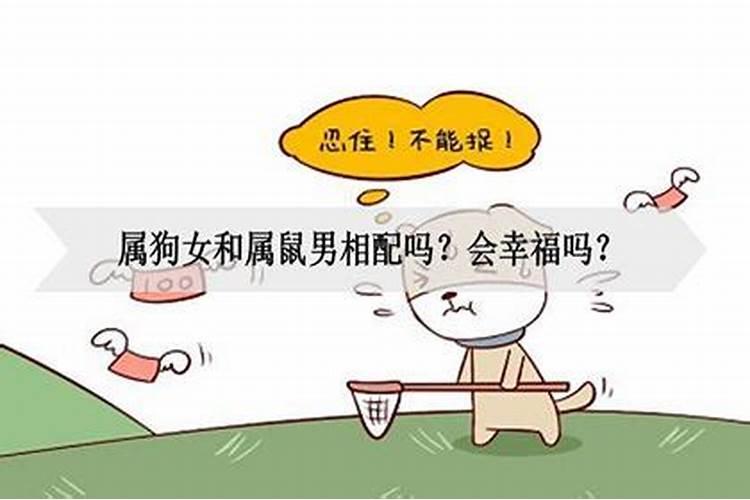 鼠男和狗女相配吗男和狗女性格和谐相处的秘诀