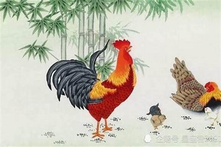 69年属鸡人在2025年的全年运势