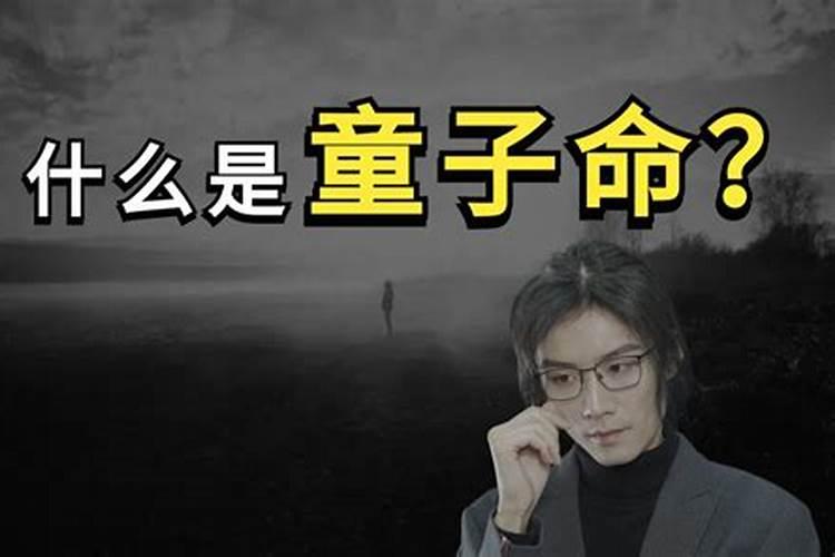 88年2025属龙的运势