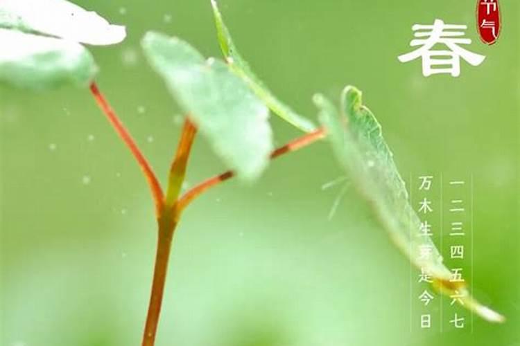 立春有哪些习俗