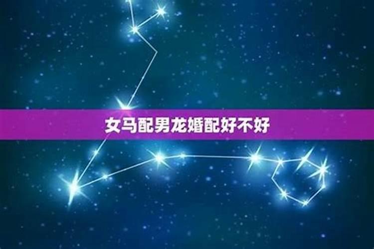 男龙和女马八字相合吗