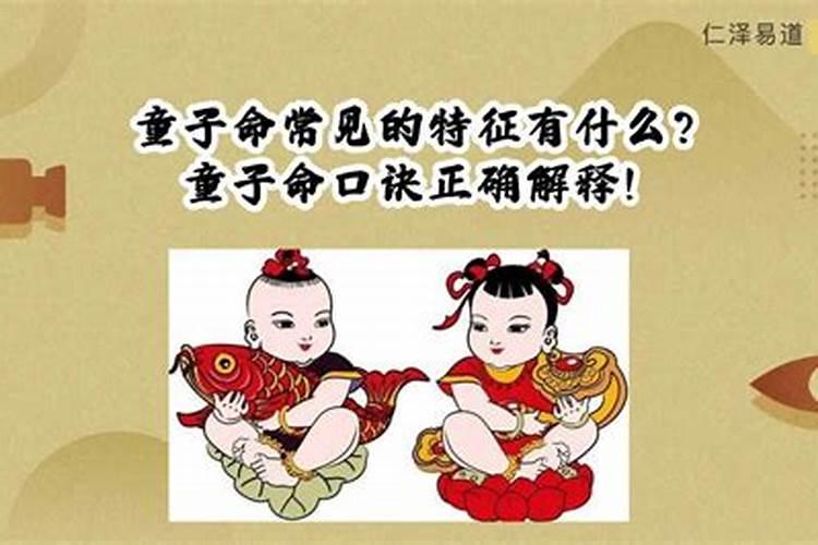 梦见白色的猫咬我的预兆