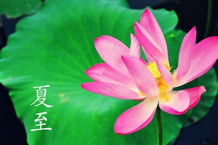 必定成为夫妻的八字两个人非常有缘的八字