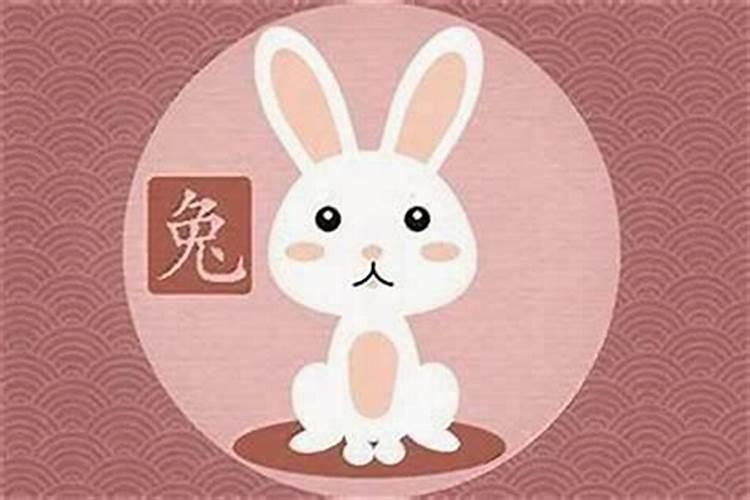 女的属兔的和什么属相最合适,属兔女人找什么属性好