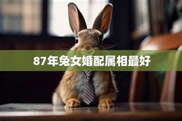 女兔属相婚配表 属兔的女孩最佳婚配属相