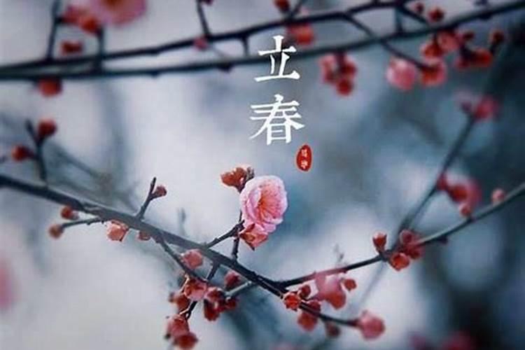 我是1992年2月1日出生的 想知道自己是属猴的还是属羊的
