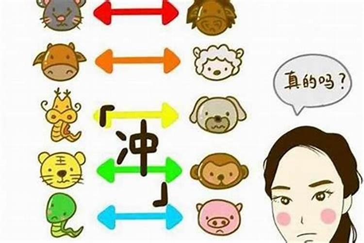 属相不合的人在一起会怎么样,两个人属相不和真的就那么重要吗？