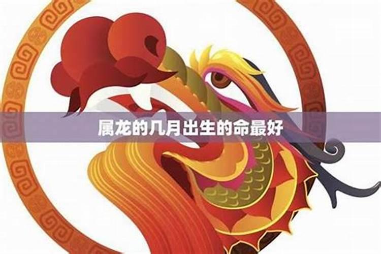 70年狗2025年的运势及运程