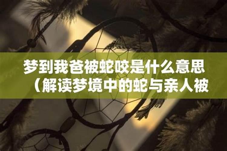 梦见爸爸被蛇咬了