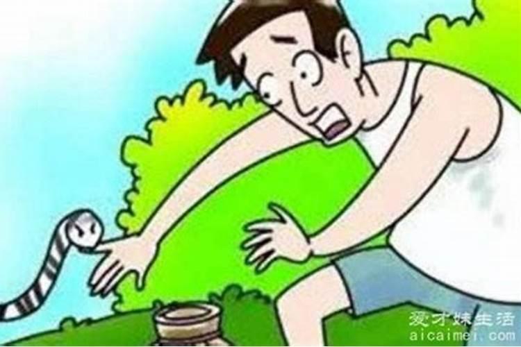 梦见准爸爸被蛇咬的预兆