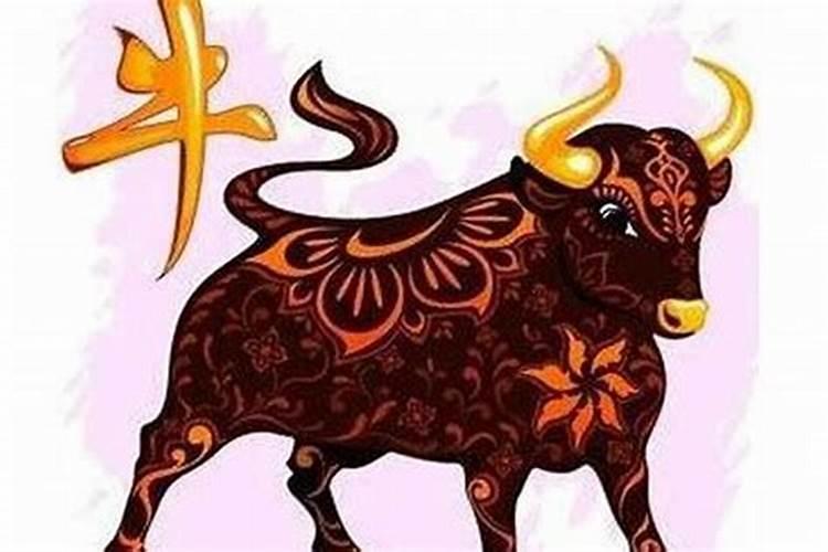 属牛的人本命年能不能结婚？
