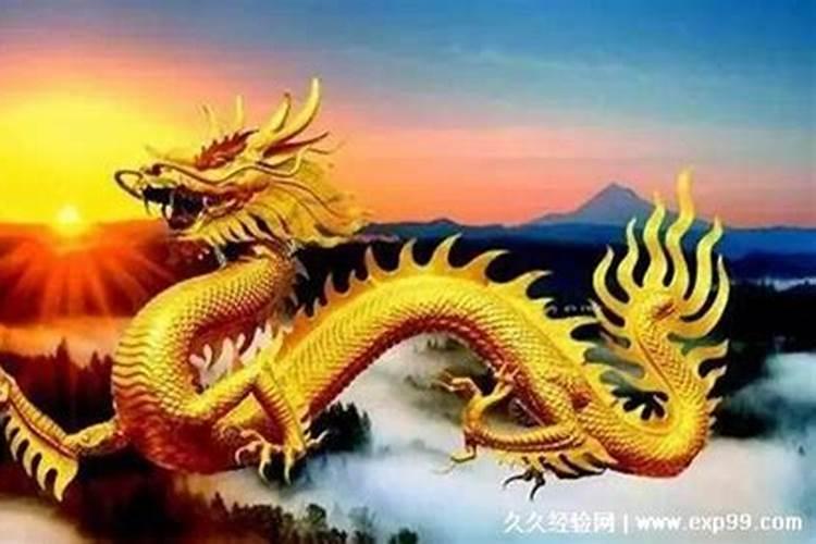 属龙人2024犯太岁运势差