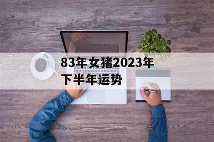 梦见会说话的小鸟死了