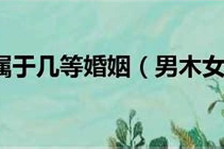 八字合婚 泉中水命和松柏木命婚配好不好？