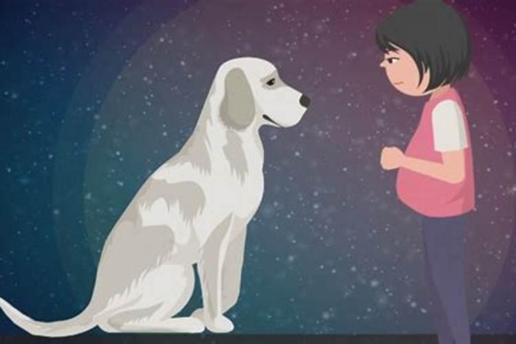 怀孕的人梦见狗是什么意思