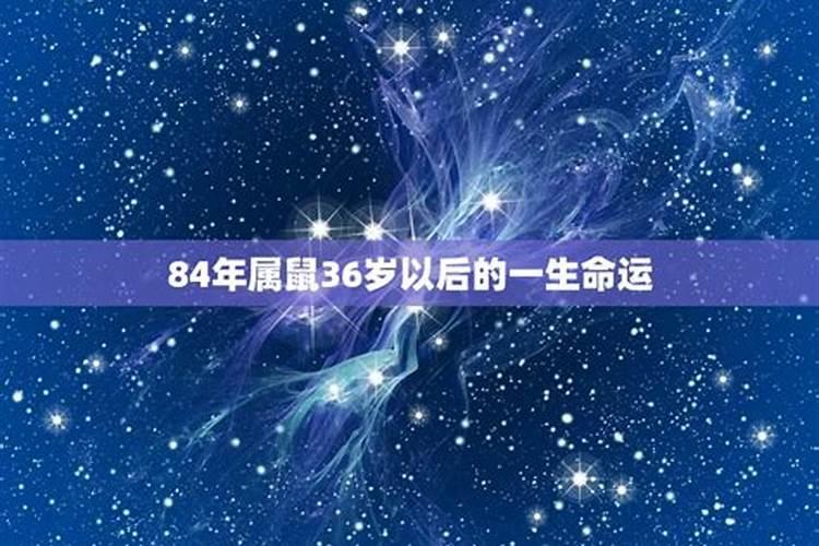 1984年2025年属鼠人的全年运势