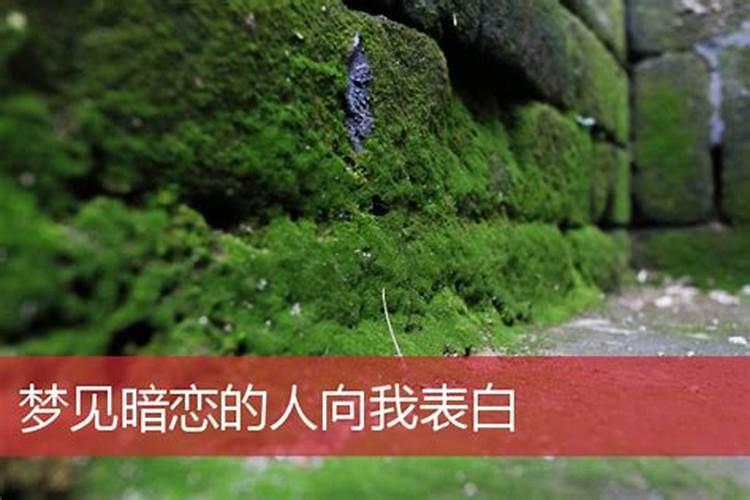 《董公择日法》十二建星吉凶