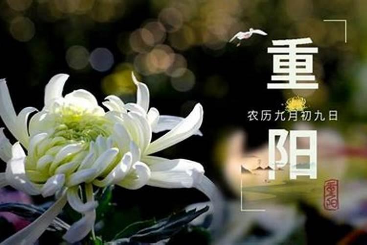 农历十一月出生的属羊人命运