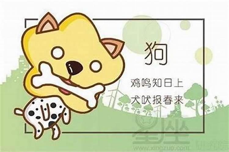 相信一见钟情吗？相信命中注定吗？