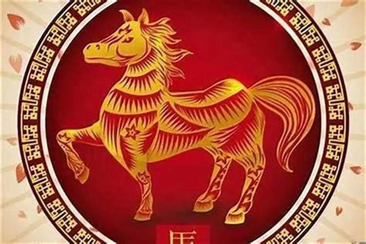2026年的介绍