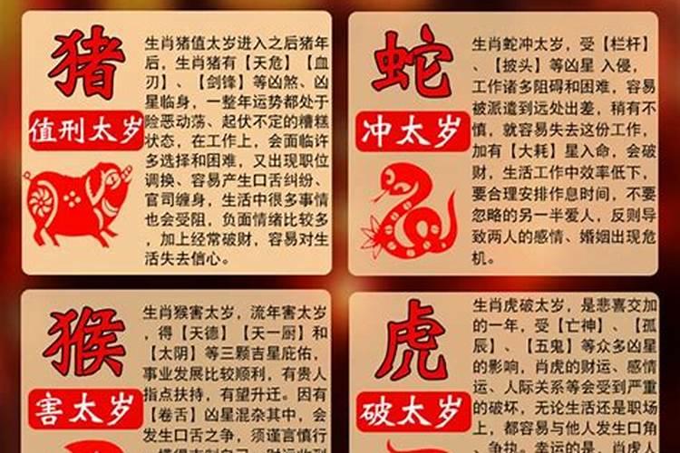 属兔犯太岁是什么意思？